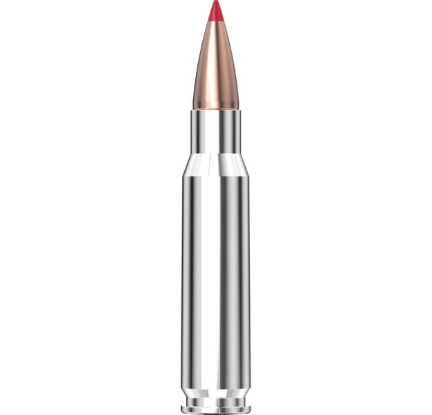 Hornady - Outfitter 308 Win 165 gr CX - 20/Box