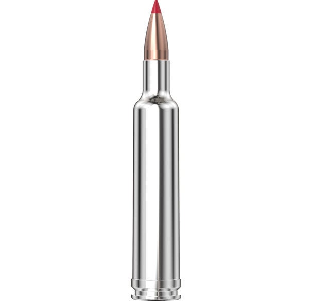 Hornady - Outfitter 257 WBY Mag 90 gr CX - 20/Box