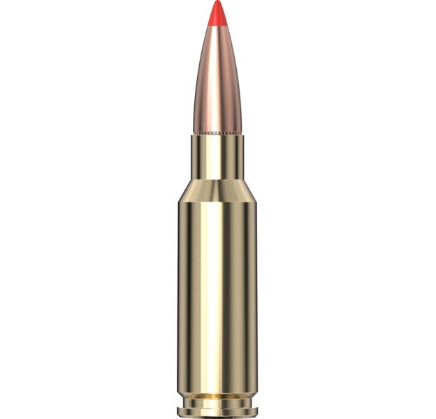 Hornady - Custom 6.5 grendel 123 gr SST - 20/Box