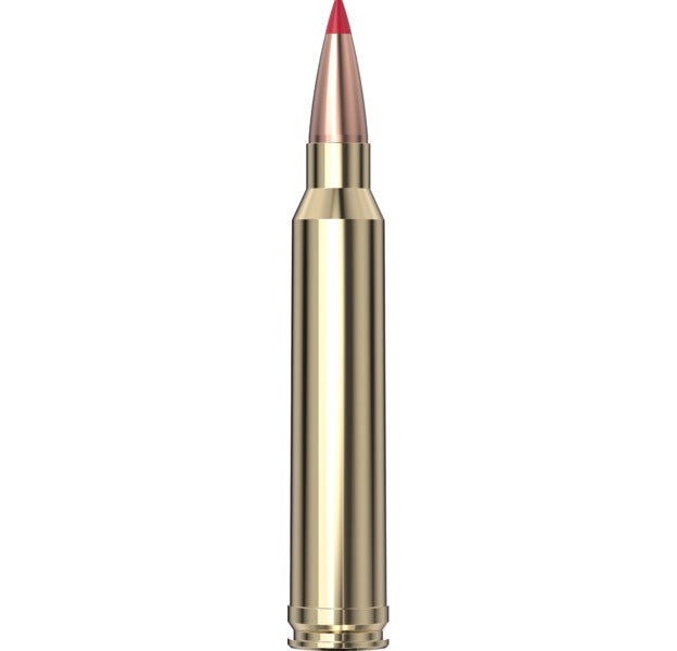 Hornady - Precision Hunter 300 Win M. 200 gr ELD-X - 20/Box