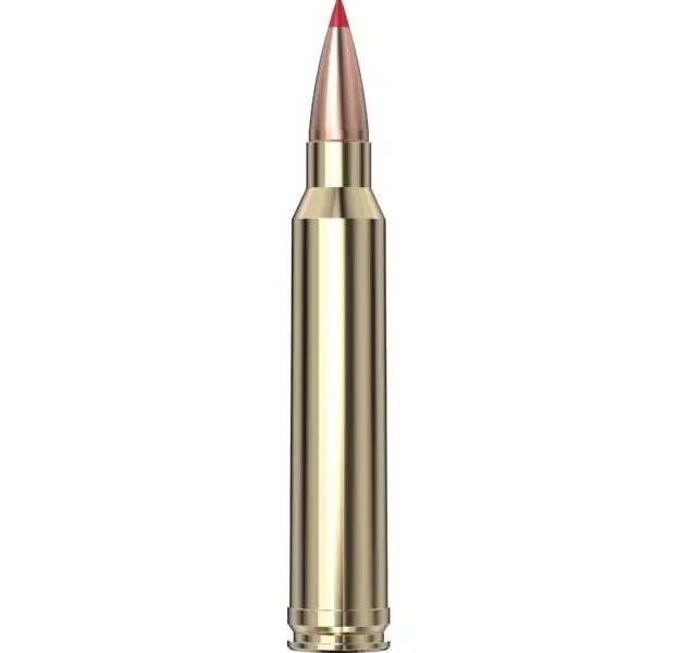 Hornady - Superformance 300 Win Mag 165 gr CX SPF - 20/Box
