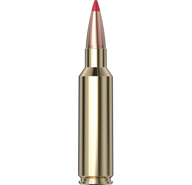 Hornady - Precision Hunter 300 WSM 200 gr ELD-X - 20/Box