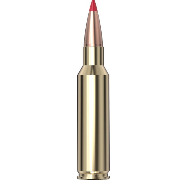 Hornady - Precision Hunter 300 RCM 178 gr ELD-X - 20/Box