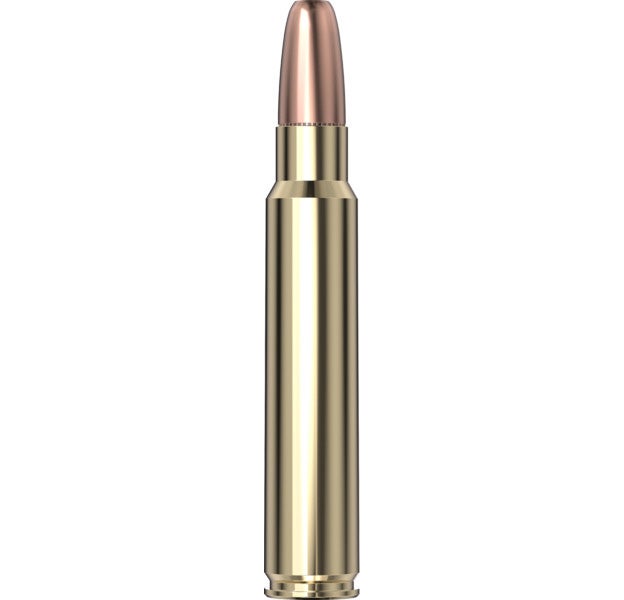 Hornady - Dangerous Game 375 Ruger 300 gr DGS - 20/Box