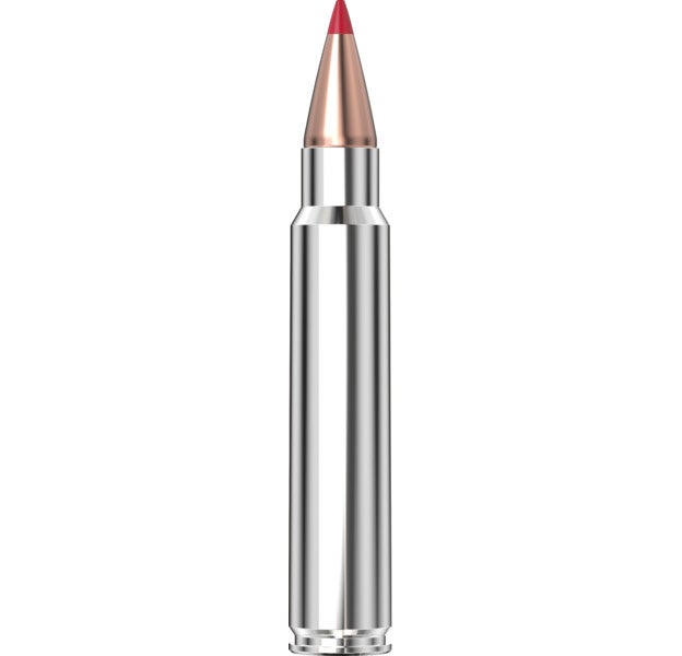 Hornady - Outfitter 375 Ruger 250 gr CX - 20/Box