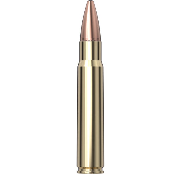 Hornady - Dangerous Game 376 Steyr 225 gr SP-RP - 20/Box
