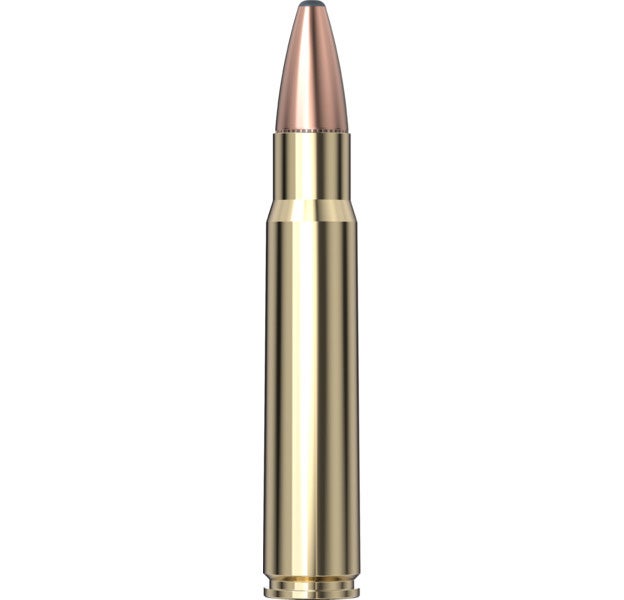 Hornady - Dangerous Game 376 Steyr 270 gr SP-RP - 20/Box