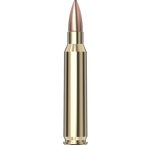 Hornady - Frontier 5.56 NATO 55 gr FMJ (M193) - 20/Box