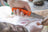 Casström No.10 SFK kniv Orange G10 & rostfritt stål, flatslipad, slida i läder – bild 6