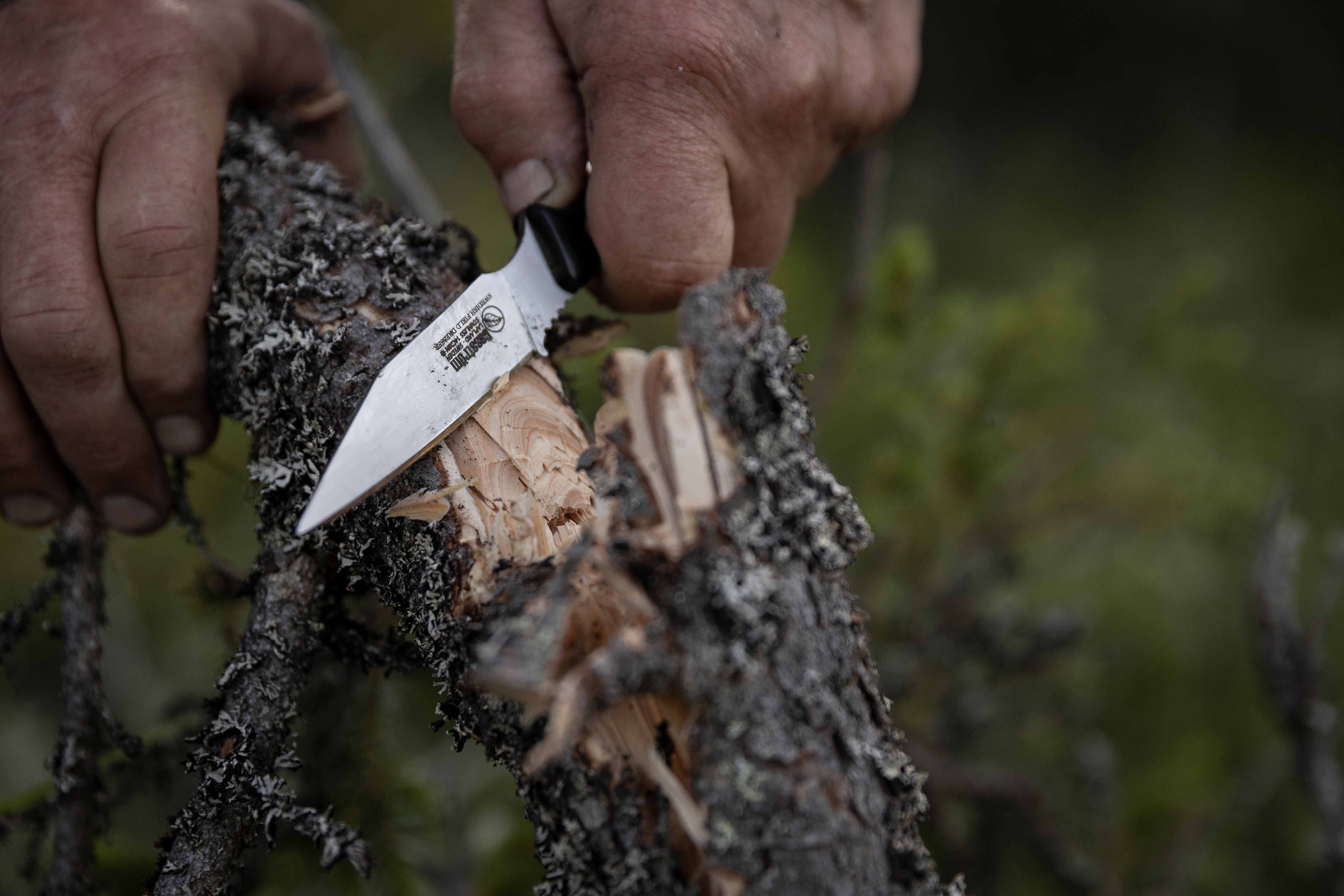 Casström Swedish Field Dresser jaktkniv/buköppnare Svart micarta, slida i Kydex – bild 6