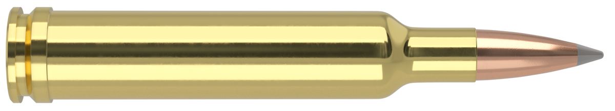 Nosler - Trophy Grade Ammunition - .270 Weatherby Magnum - 150gr - ABLR - 20/ask