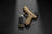 Glock - Glock 43X - A-CUT COA FS - 9x19 Combo - Coyote