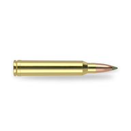 Nosler - Expansion Tip Ammunition - .300 Winchester Magnum - 180gr - ET - 20/ask